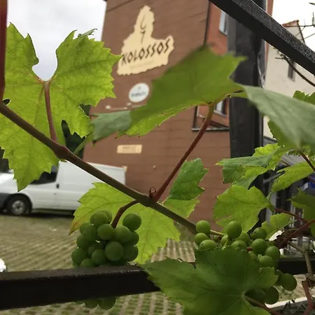 Kolossos Duesseldorf - 3* Neuss