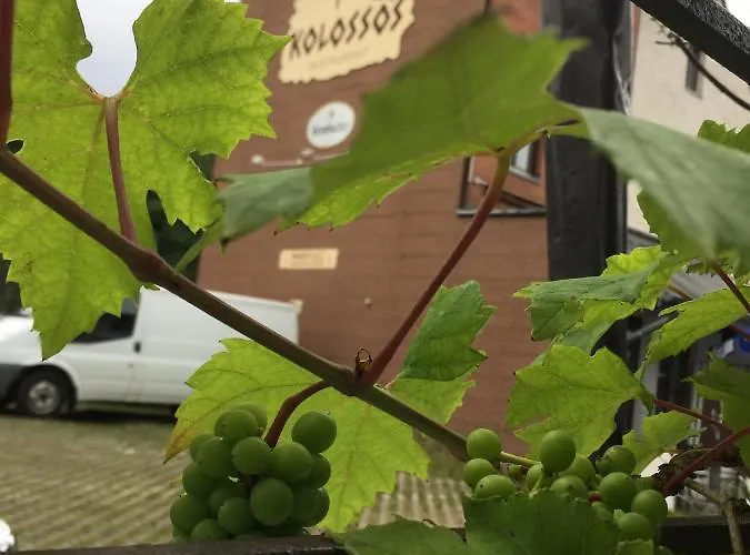 Kolossos Duesseldorf - 3* Neuss